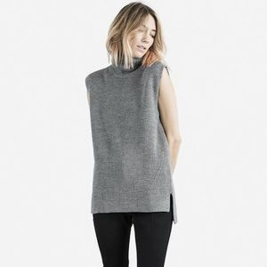 Everlane the chunky wool sleeveless turtleneck